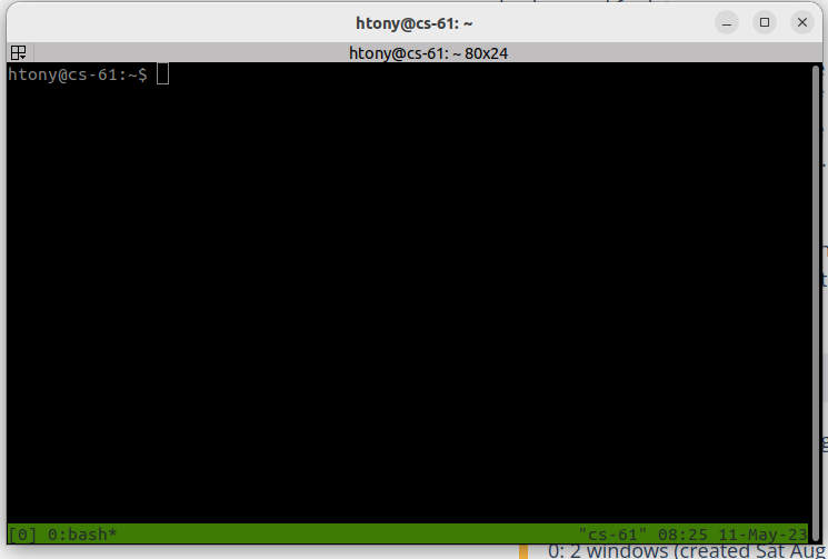 Tmux screen